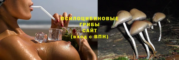 хмурый Михайловск