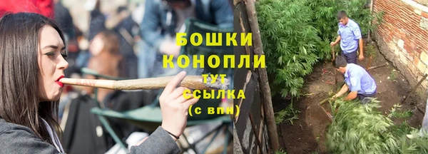 хмурый Михайловск