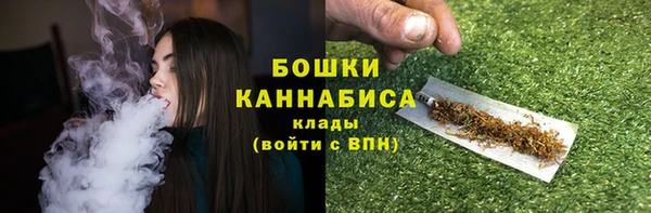 гидра Надым
